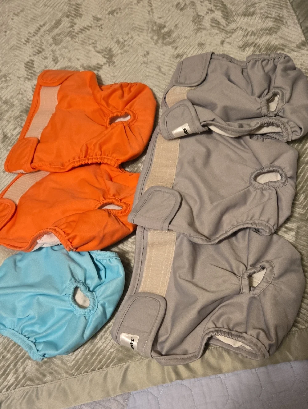 Dog Training Pants Pack - Blue, Orange, Gray Set Of 6